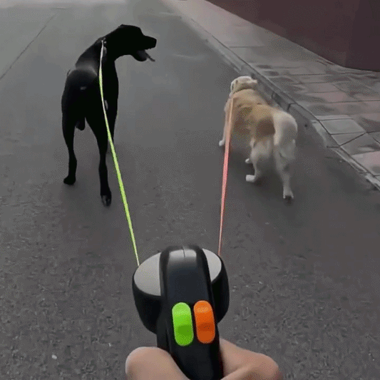 Correa Retráctil Doble para Perros — Giro 360° Antienredos para Perros Hasta 11 kg,